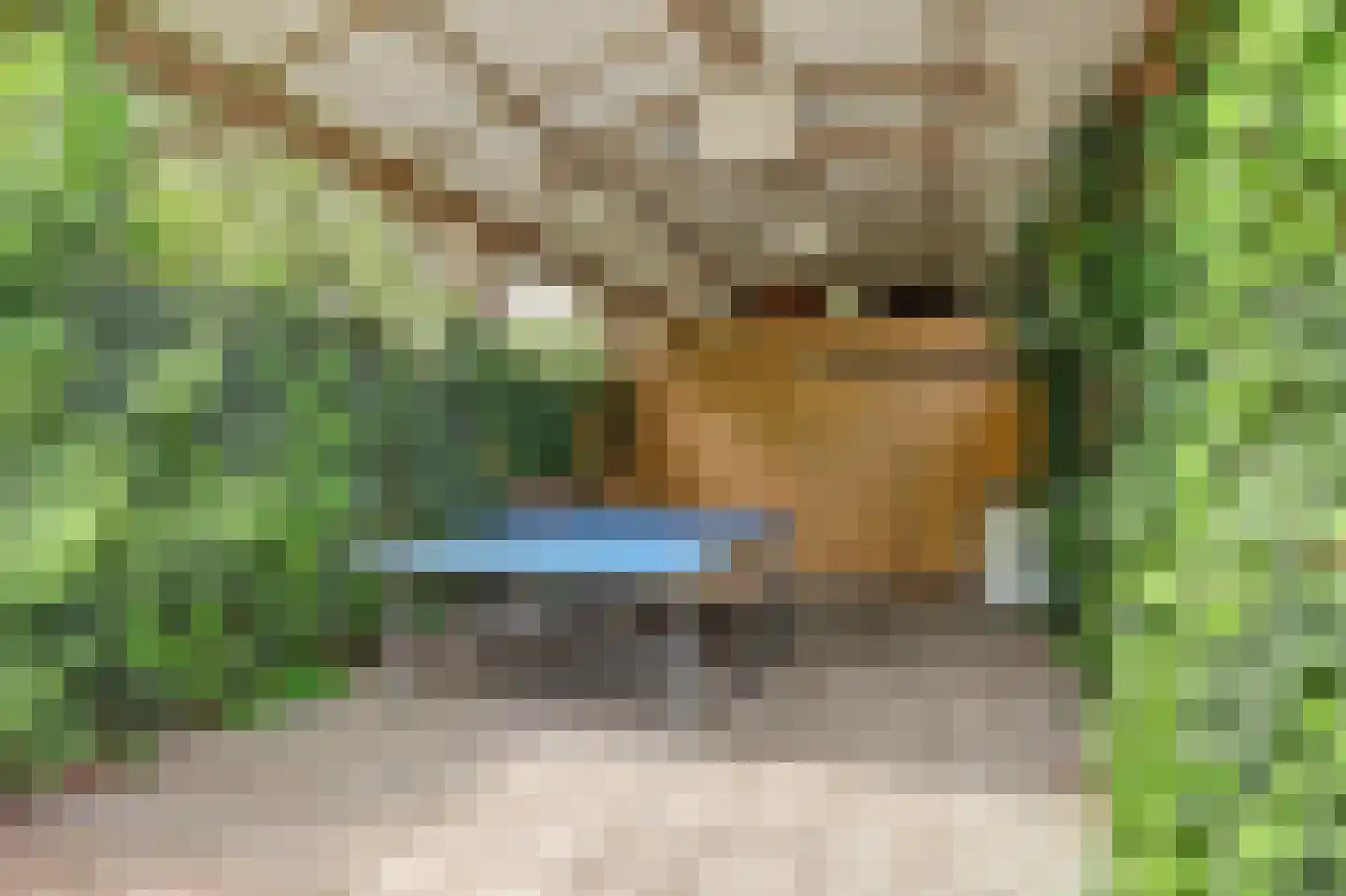 1e Pallertweg 4 Bourtange thumbnail 61