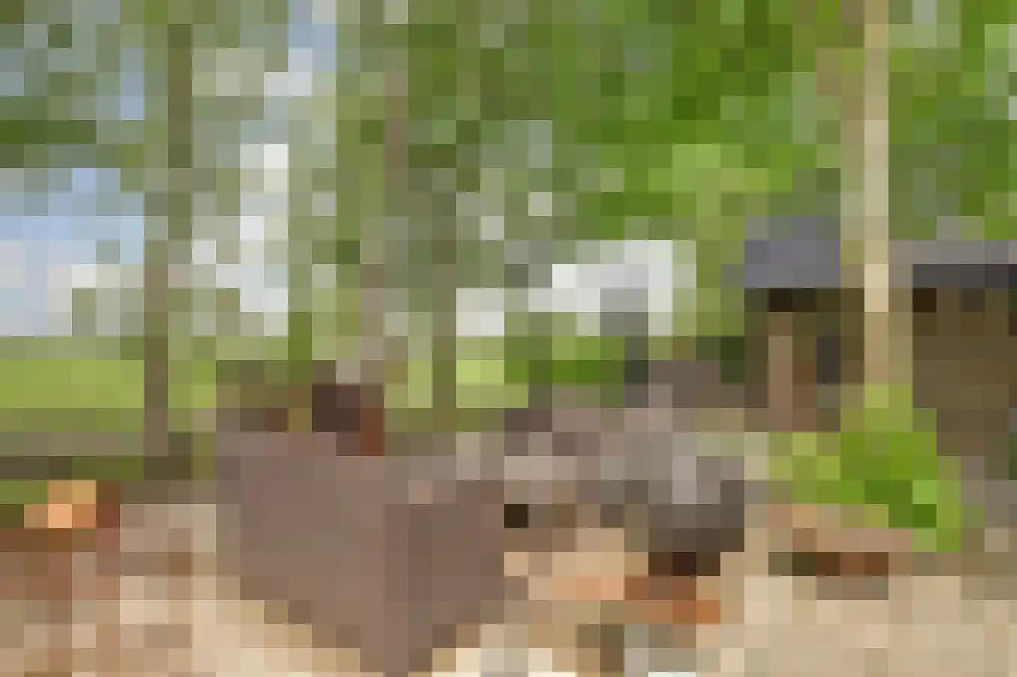 1e Pallertweg 4 Bourtange thumbnail 62
