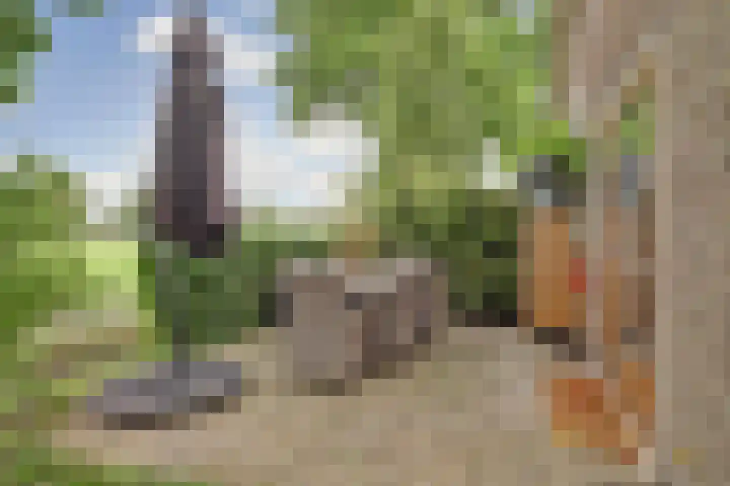 1e Pallertweg 4 Bourtange thumbnail 63