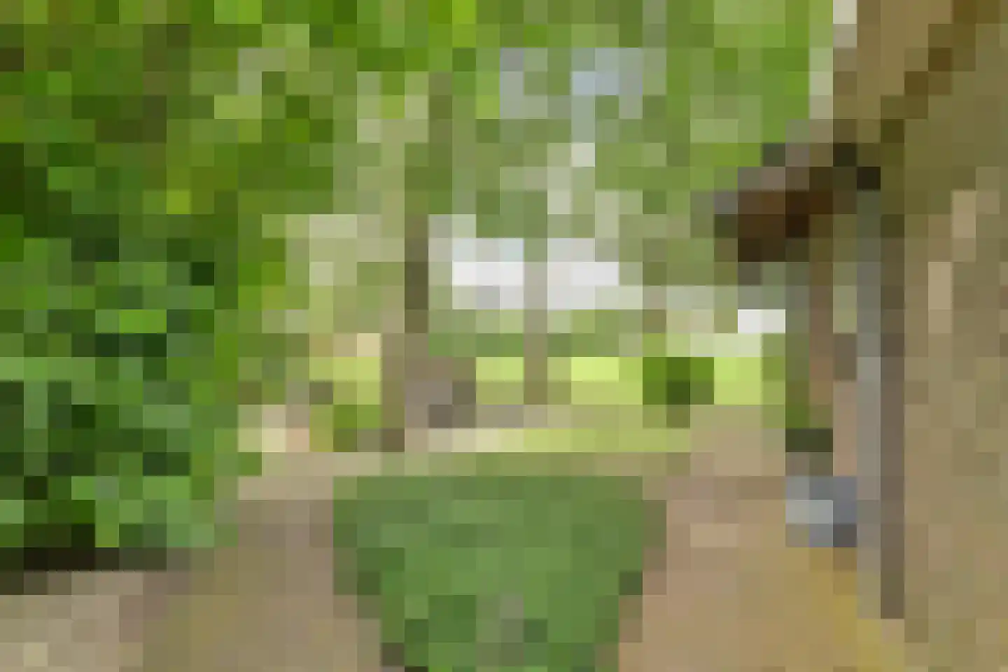 1e Pallertweg 4 Bourtange thumbnail 64