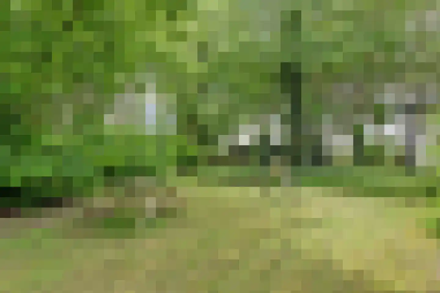 1e Pallertweg 4 Bourtange thumbnail 65