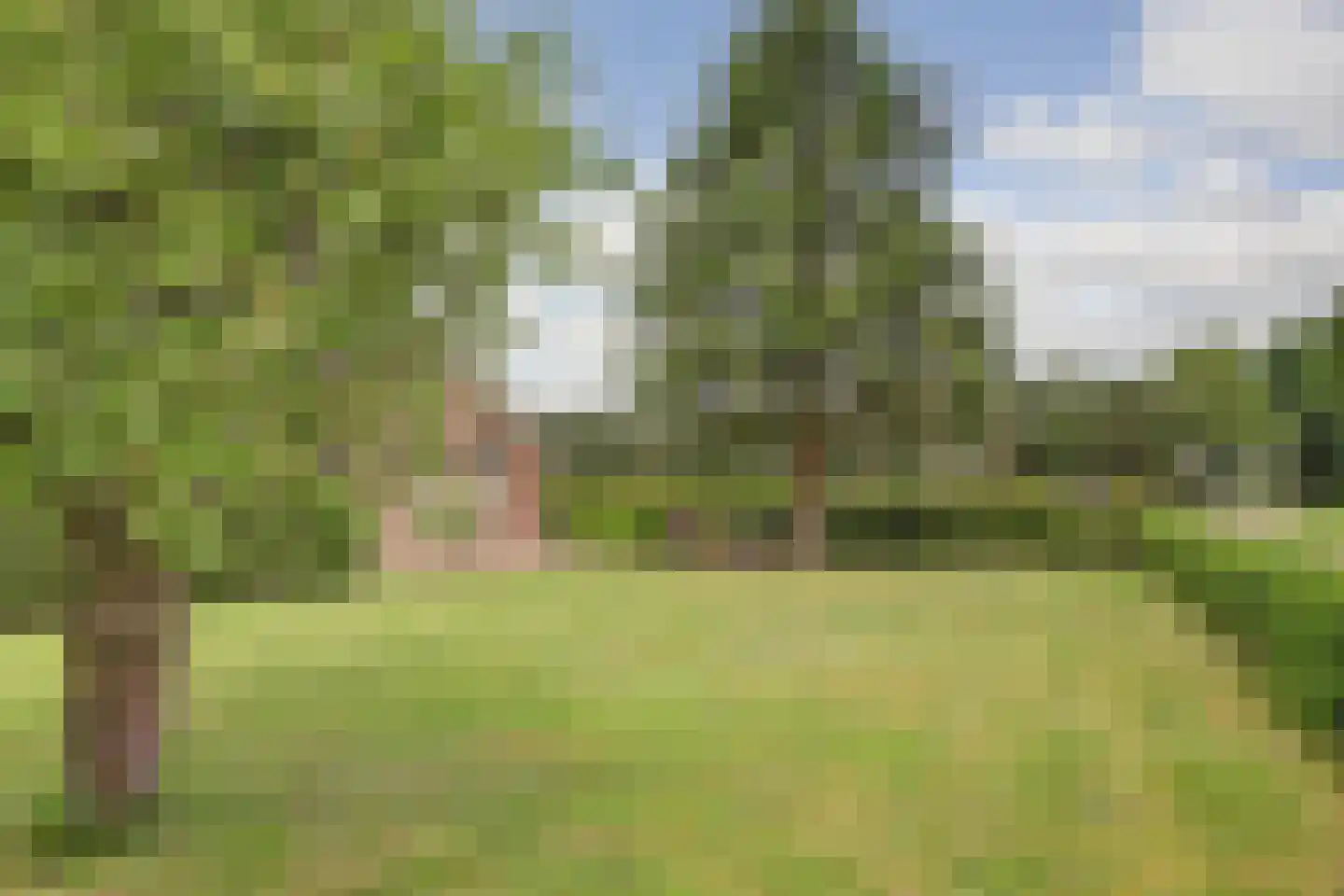1e Pallertweg 4 Bourtange thumbnail 66