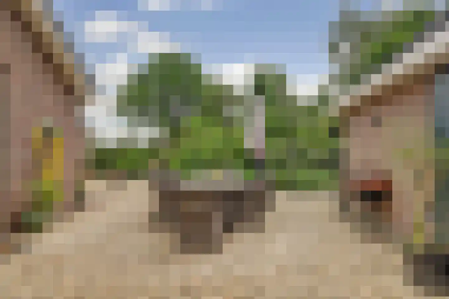 1e Pallertweg 4 Bourtange thumbnail 67