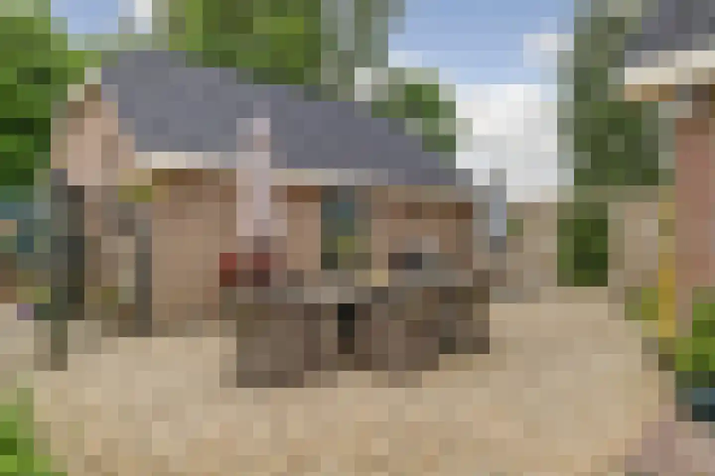 1e Pallertweg 4 Bourtange thumbnail 68