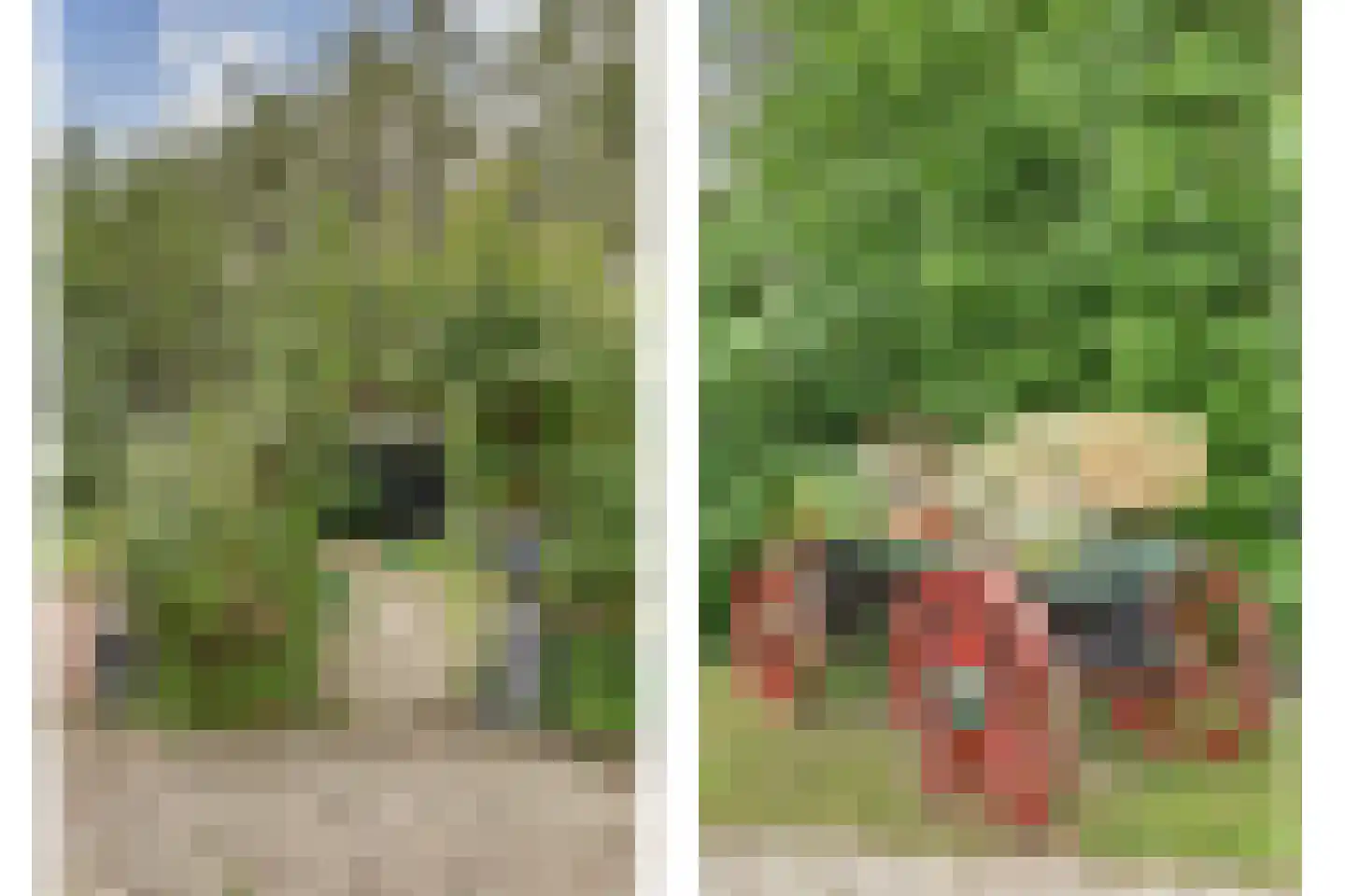 1e Pallertweg 4 Bourtange thumbnail 69