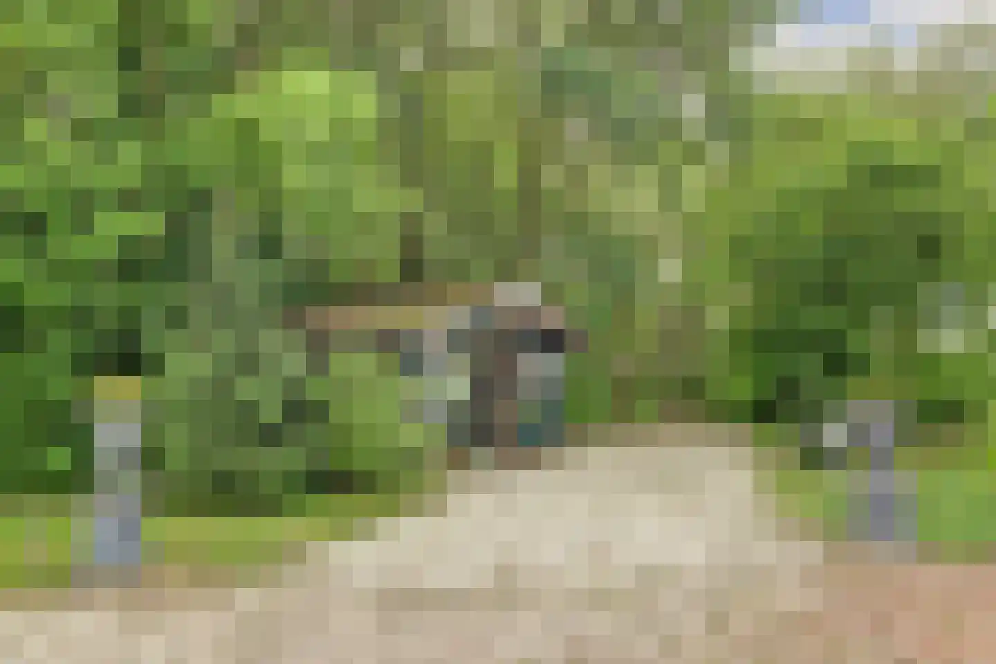 1e Pallertweg 4 Bourtange thumbnail 70