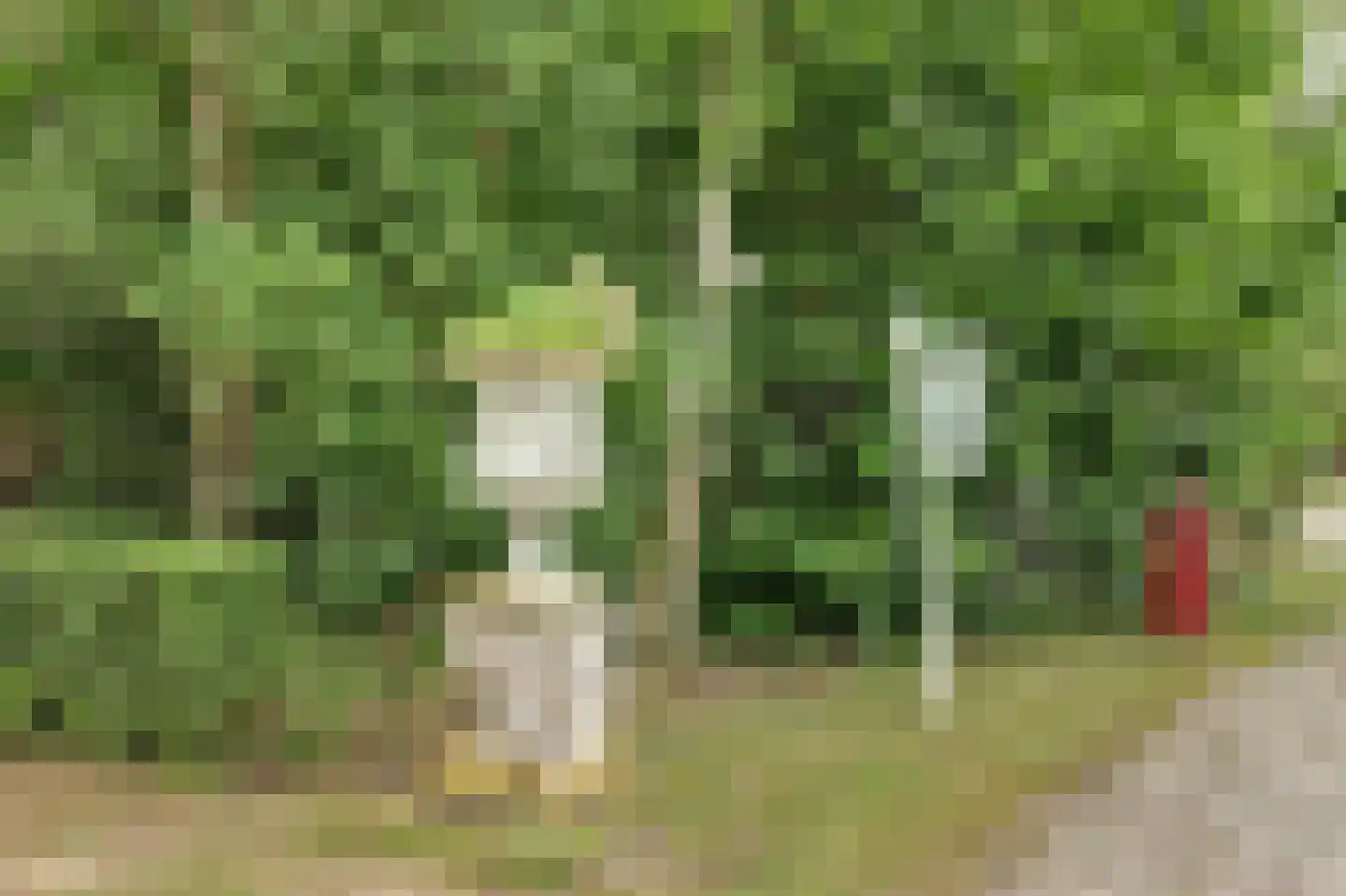 1e Pallertweg 4 Bourtange thumbnail 71