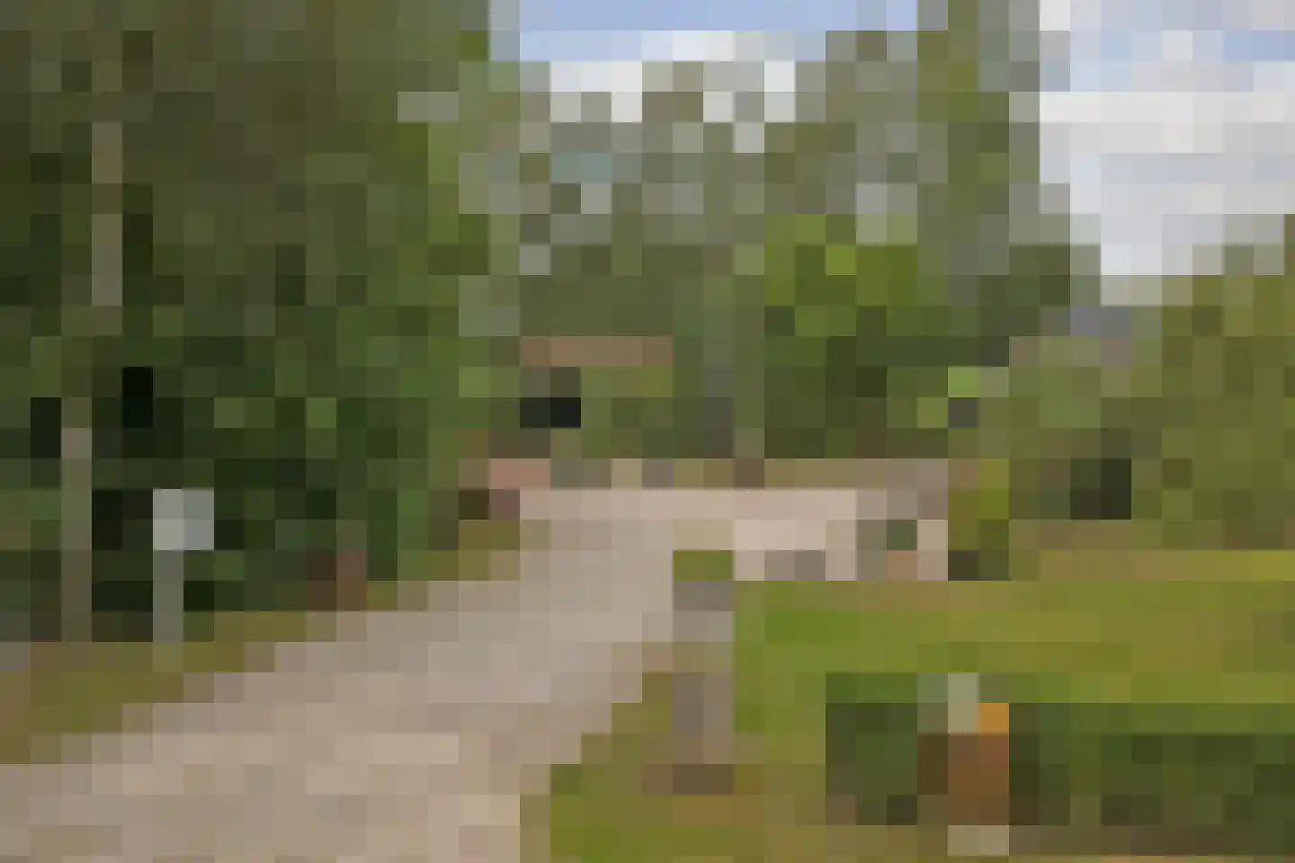 1e Pallertweg 4 Bourtange thumbnail 72