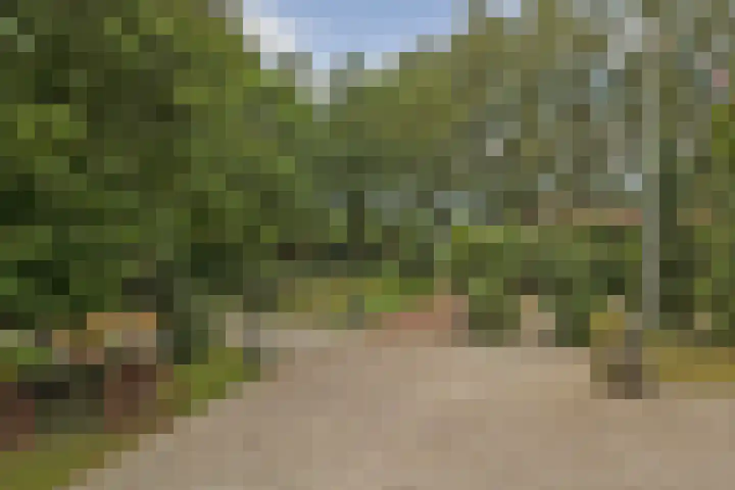 1e Pallertweg 4 Bourtange thumbnail 73