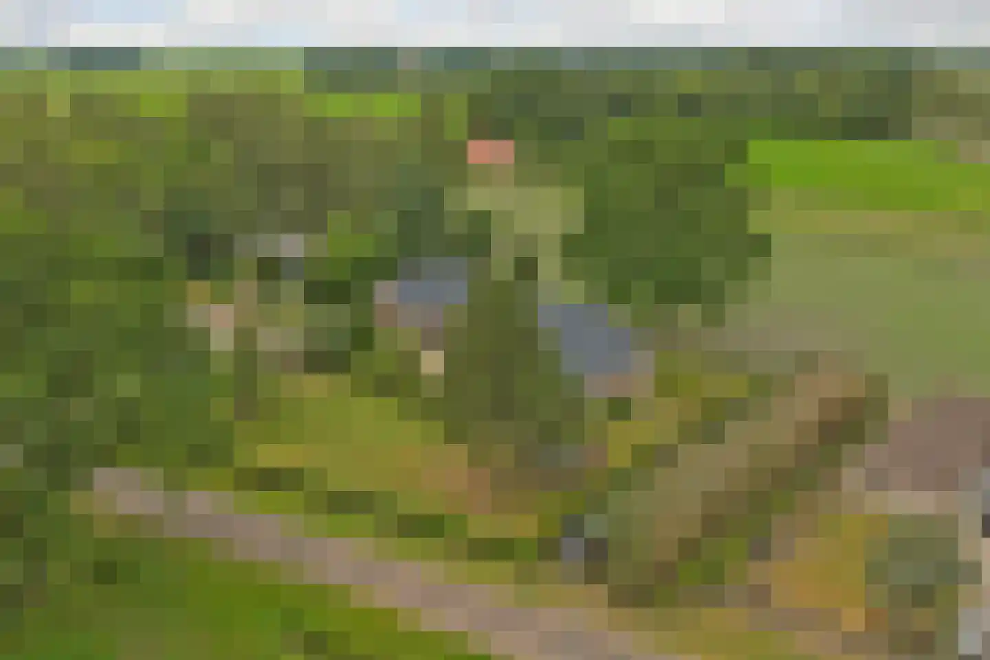 1e Pallertweg 4 Bourtange thumbnail 76