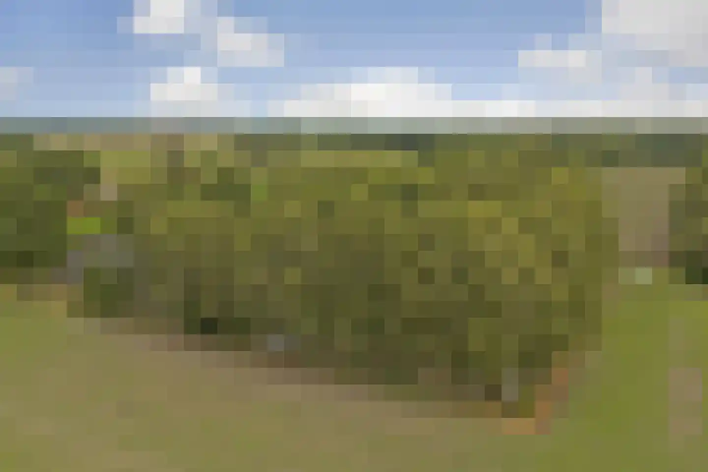 1e Pallertweg 4 Bourtange thumbnail 77