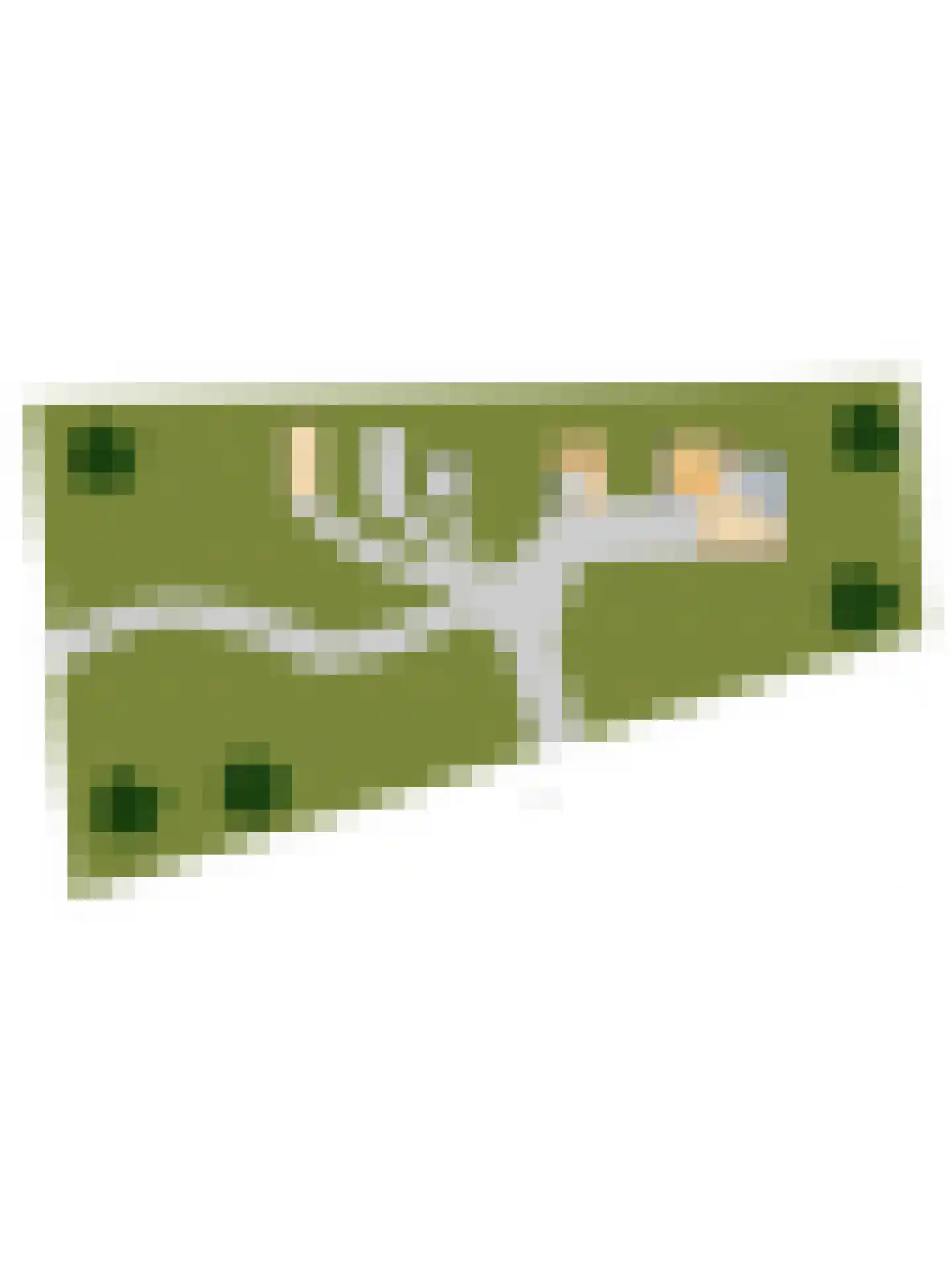 1e Pallertweg 4 Bourtange thumbnail 78
