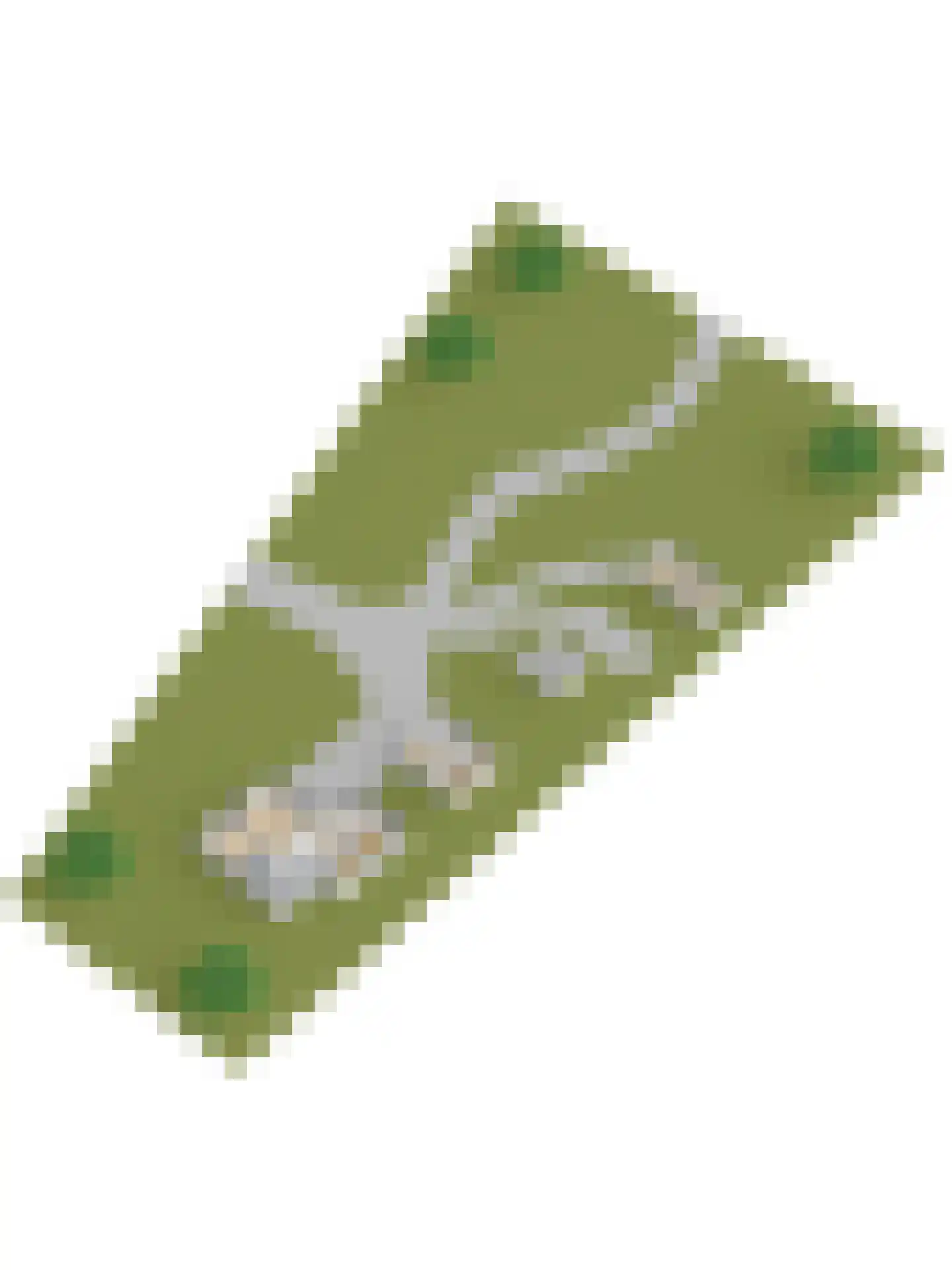 1e Pallertweg 4 Bourtange thumbnail 79