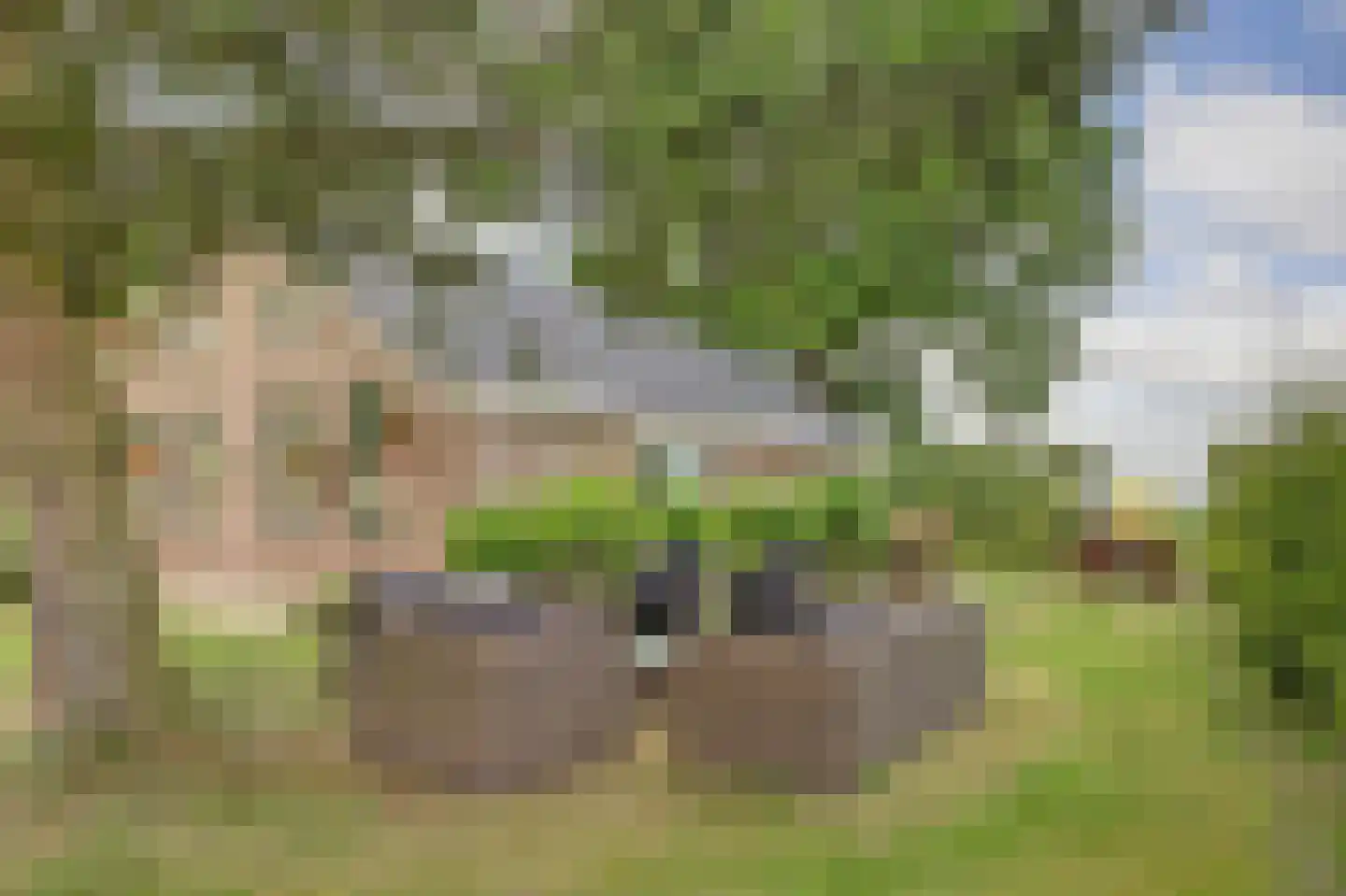 1e Pallertweg 4 Bourtange thumbnail 9