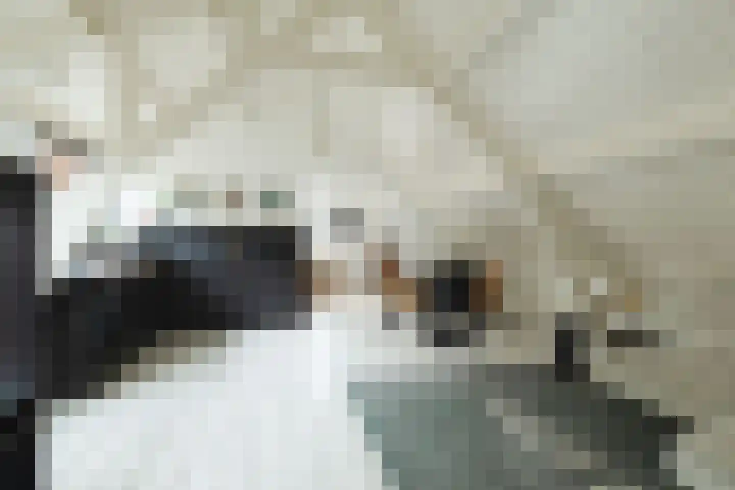 1e Pijnackerstraat 129 B Rotterdam thumbnail 24