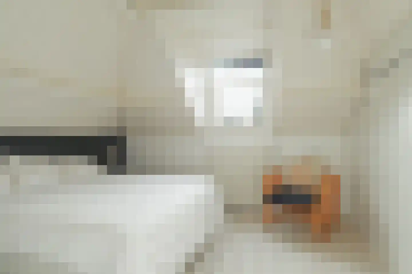 1e Pijnackerstraat 129 B Rotterdam thumbnail 29