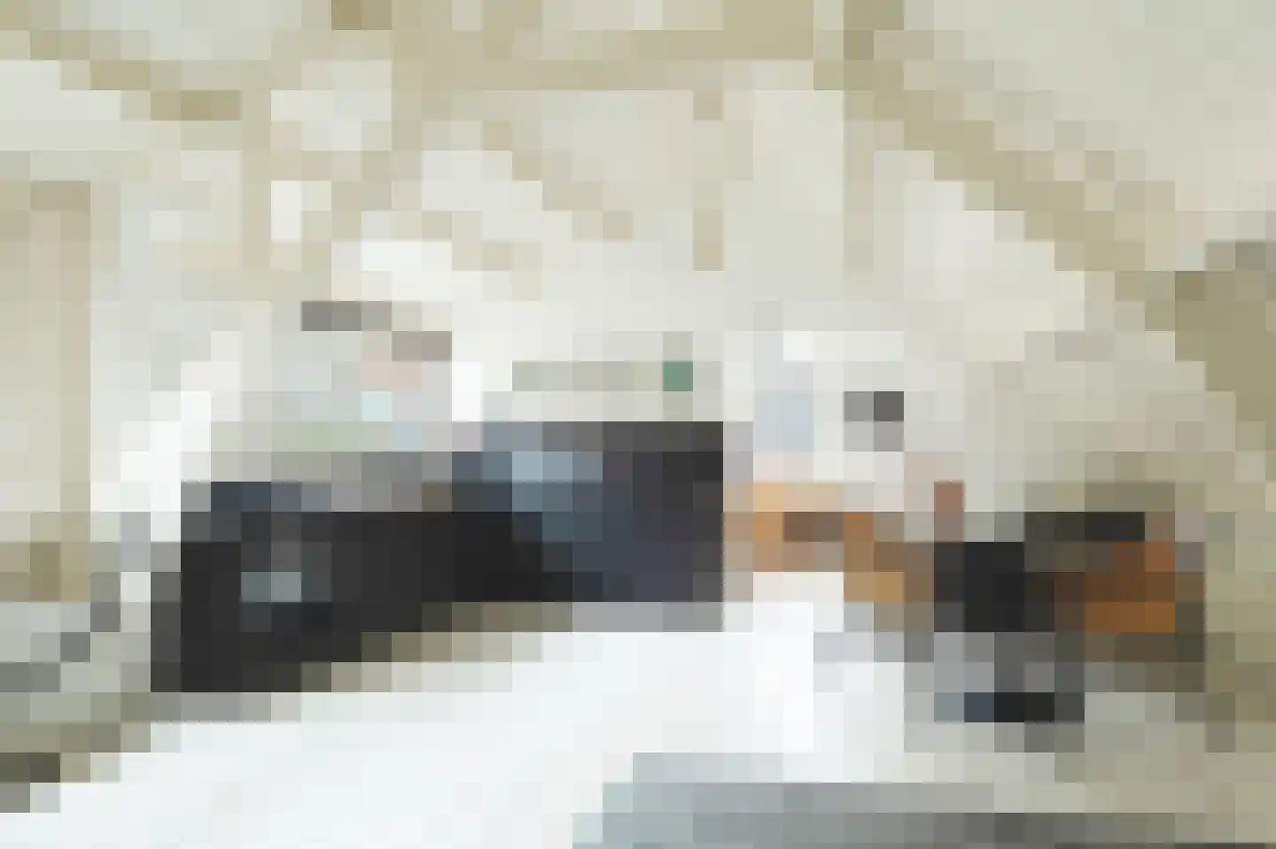 1e Pijnackerstraat 129 B Rotterdam thumbnail 4