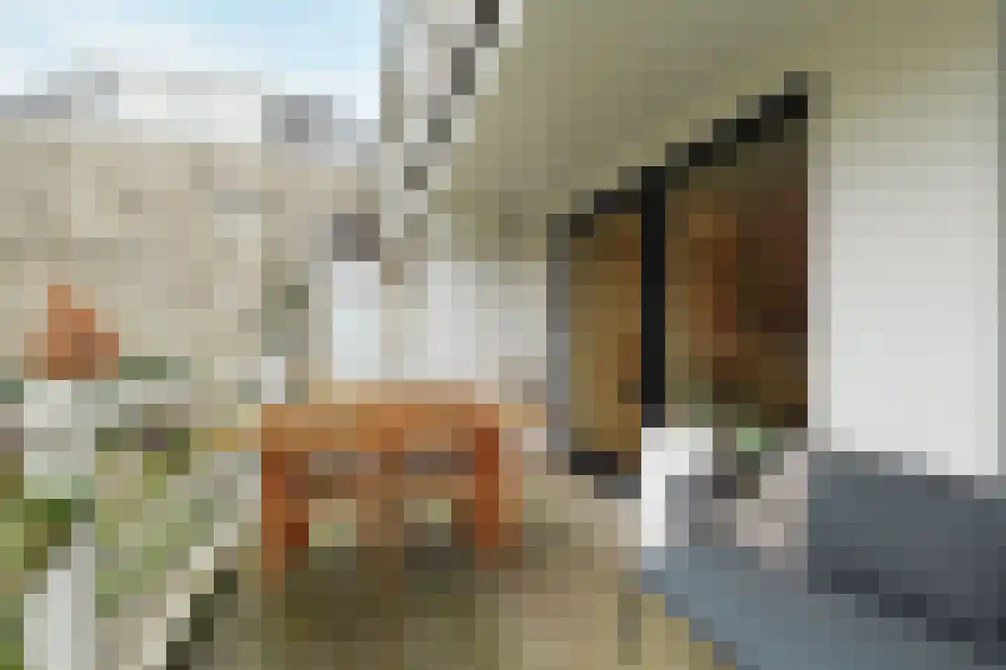 1e Pijnackerstraat 133 A Rotterdam thumbnail 18