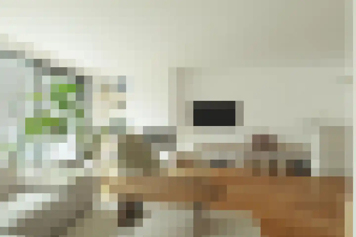 1e Pijnackerstraat 133 B Rotterdam thumbnail 13