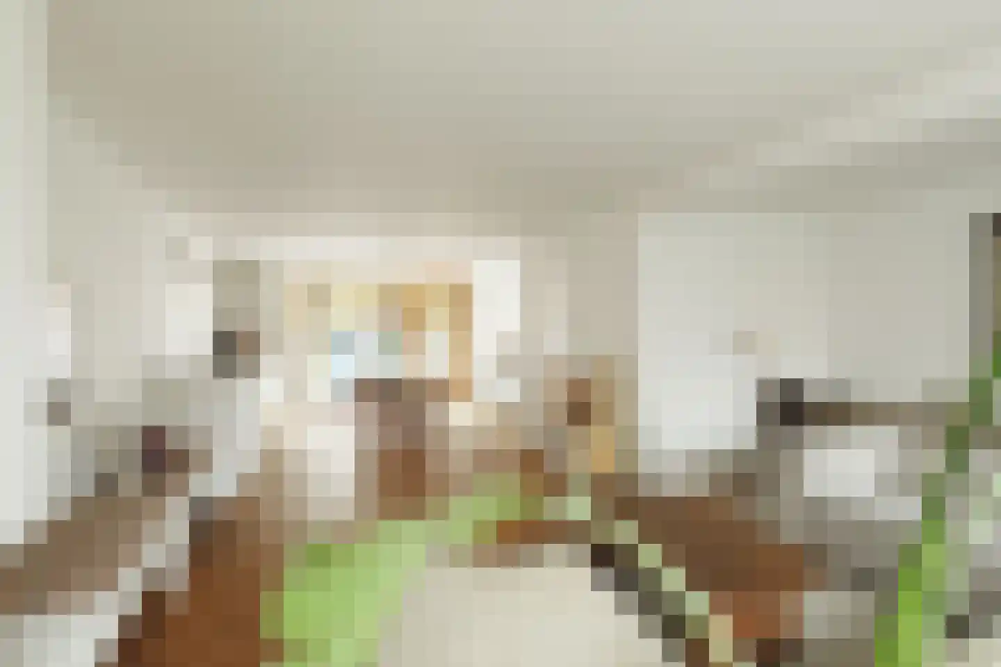 1e Pijnackerstraat 133 B Rotterdam thumbnail 16