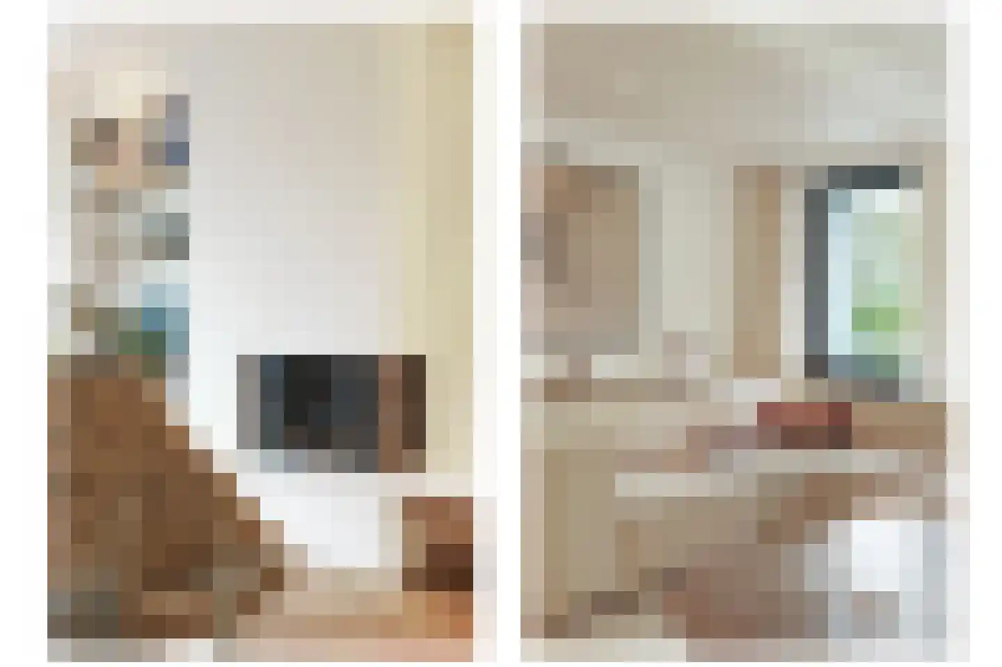 1e Pijnackerstraat 133 B Rotterdam thumbnail 17