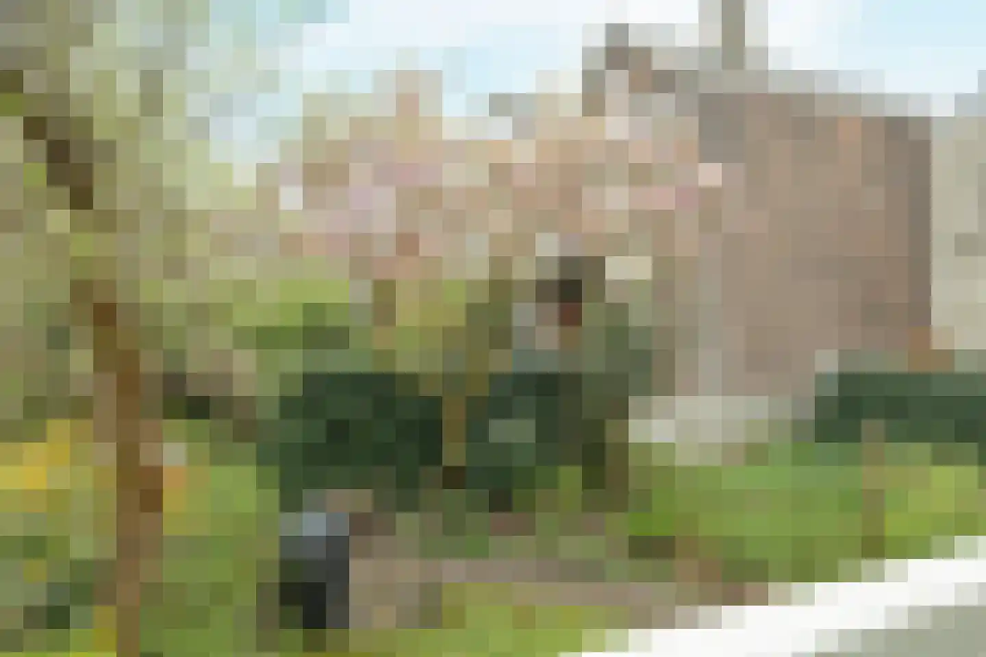1e Pijnackerstraat 133 B Rotterdam thumbnail 19