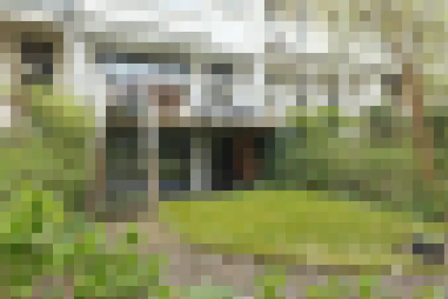 1e Pijnackerstraat 133 B Rotterdam thumbnail 34