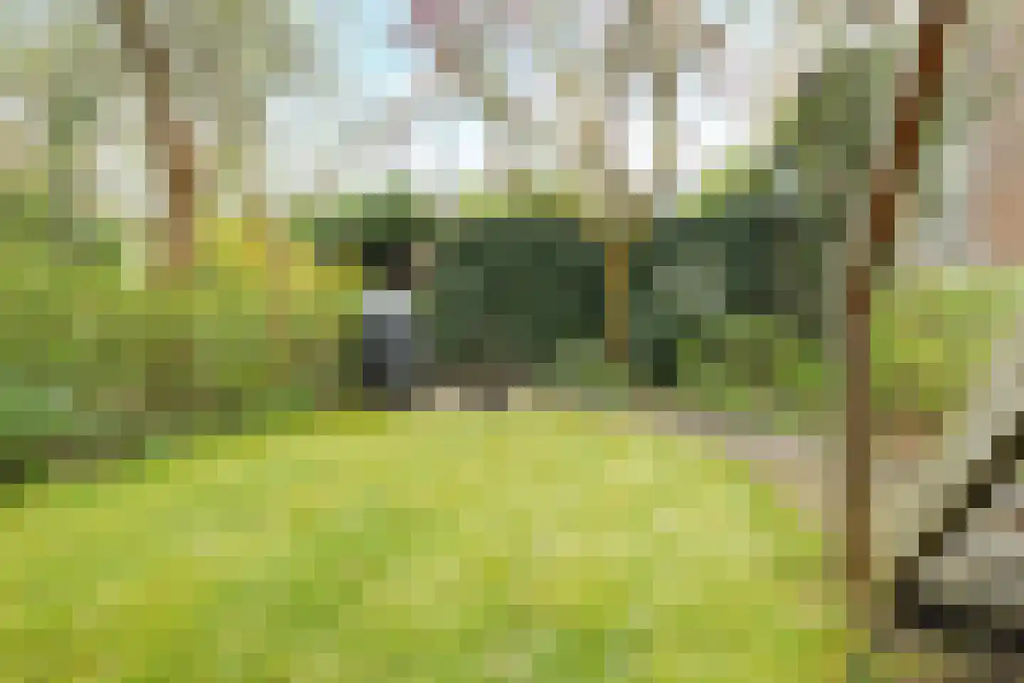 1e Pijnackerstraat 133 B Rotterdam thumbnail 36