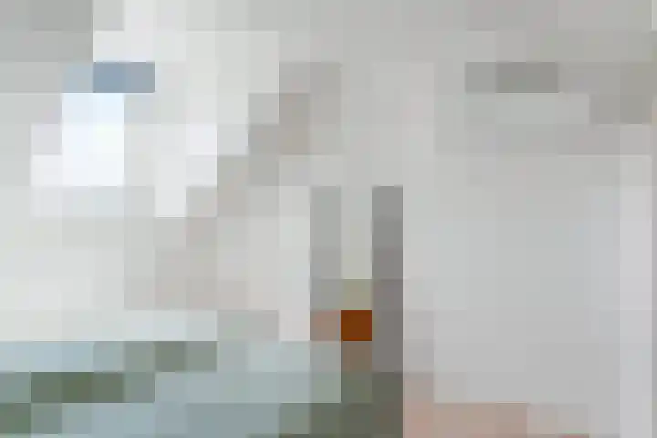 1e Pijnackerstraat 135 B Rotterdam thumbnail 27