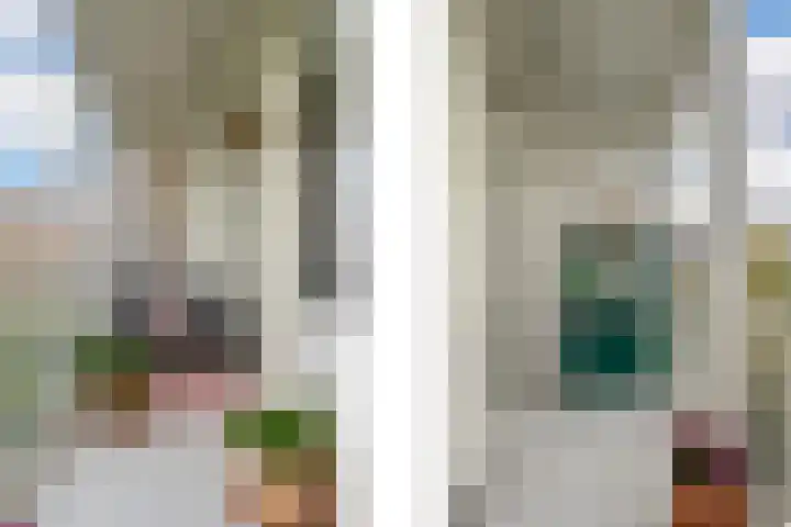 1e Pijnackerstraat 135 B Rotterdam thumbnail 4