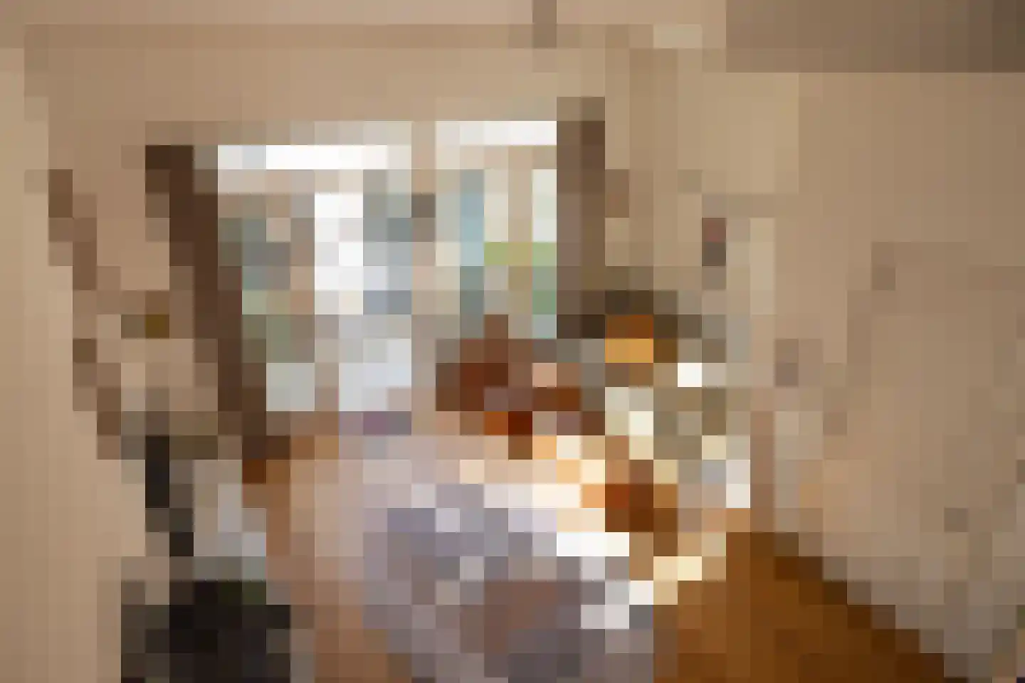 1e Pijnackerstraat 148 A Rotterdam thumbnail 4
