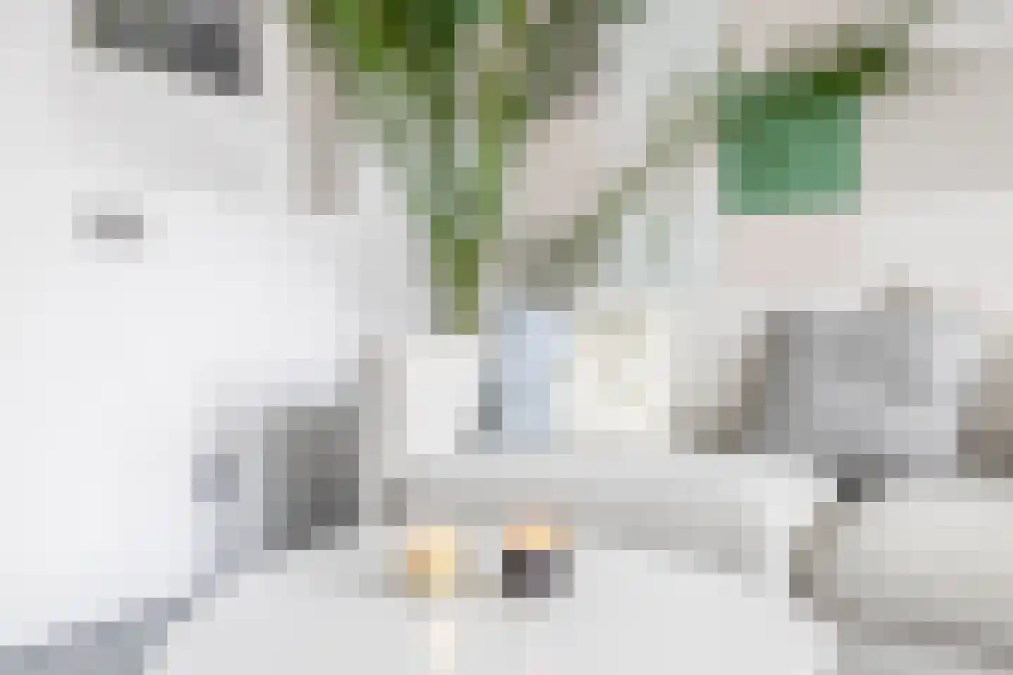 1e Pijnackerstraat 25 A Rotterdam thumbnail 11