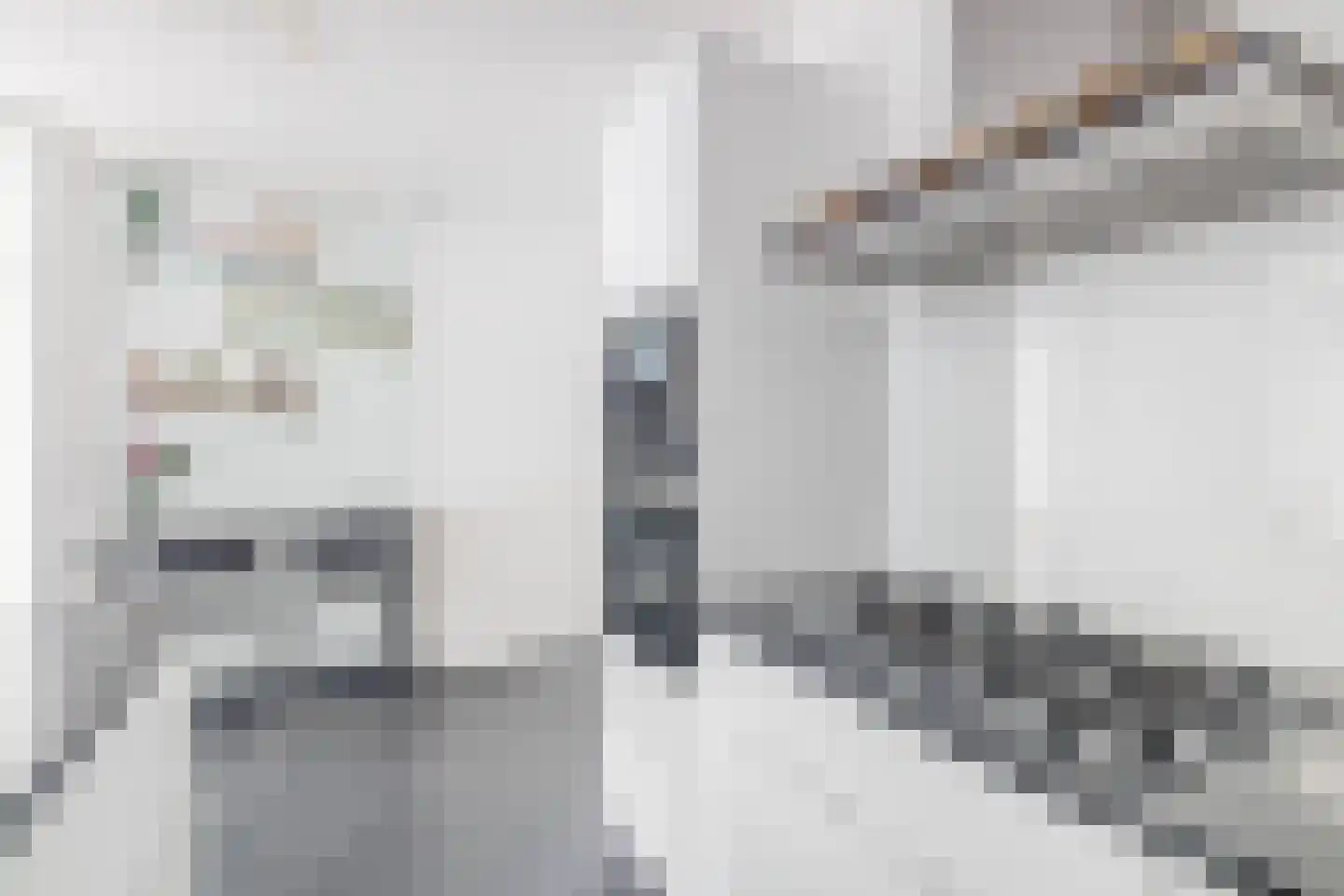 1e Pijnackerstraat 25 A Rotterdam thumbnail 19