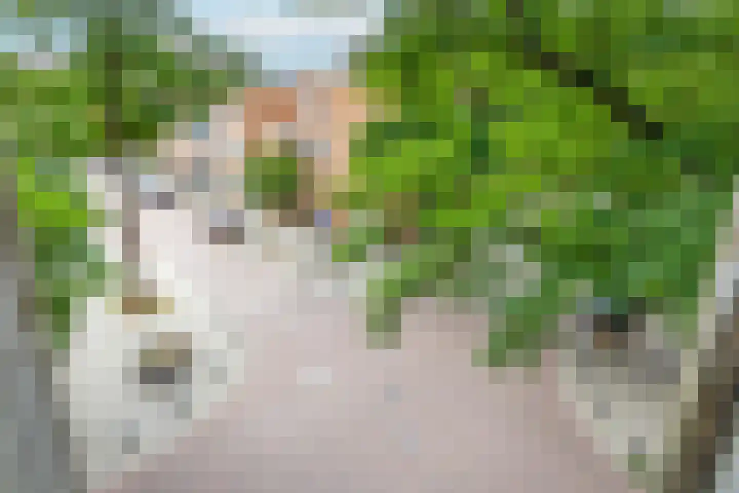 1e Pijnackerstraat 25 A Rotterdam thumbnail 28