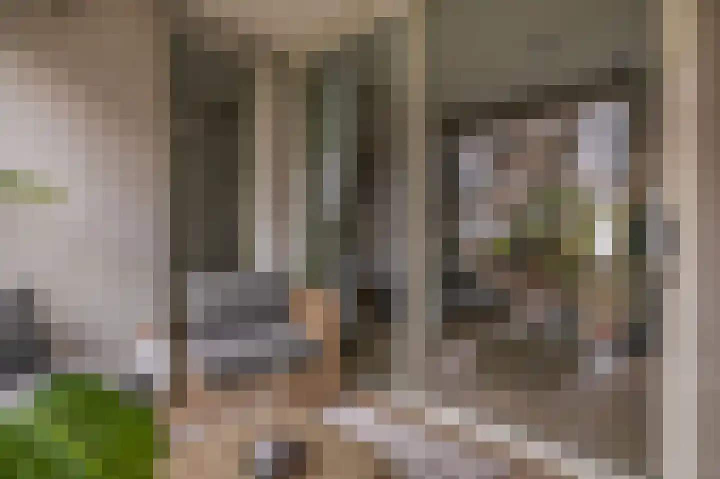 1e Pijnackerstraat 91 B Rotterdam thumbnail 17