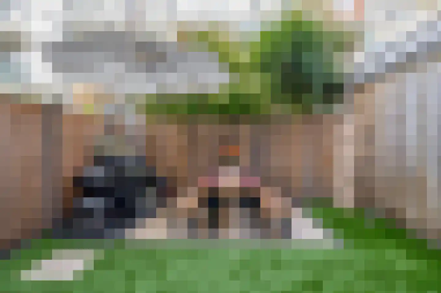 1e Pijnackerstraat 91 B Rotterdam thumbnail 24