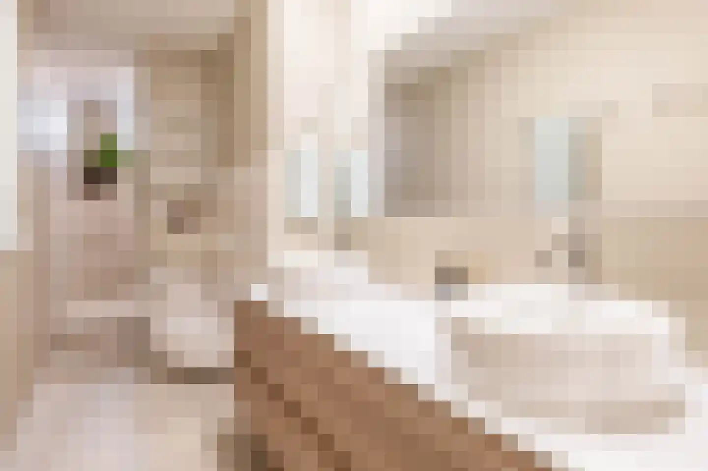 1e Pijnackerstraat 91 B Rotterdam thumbnail 32