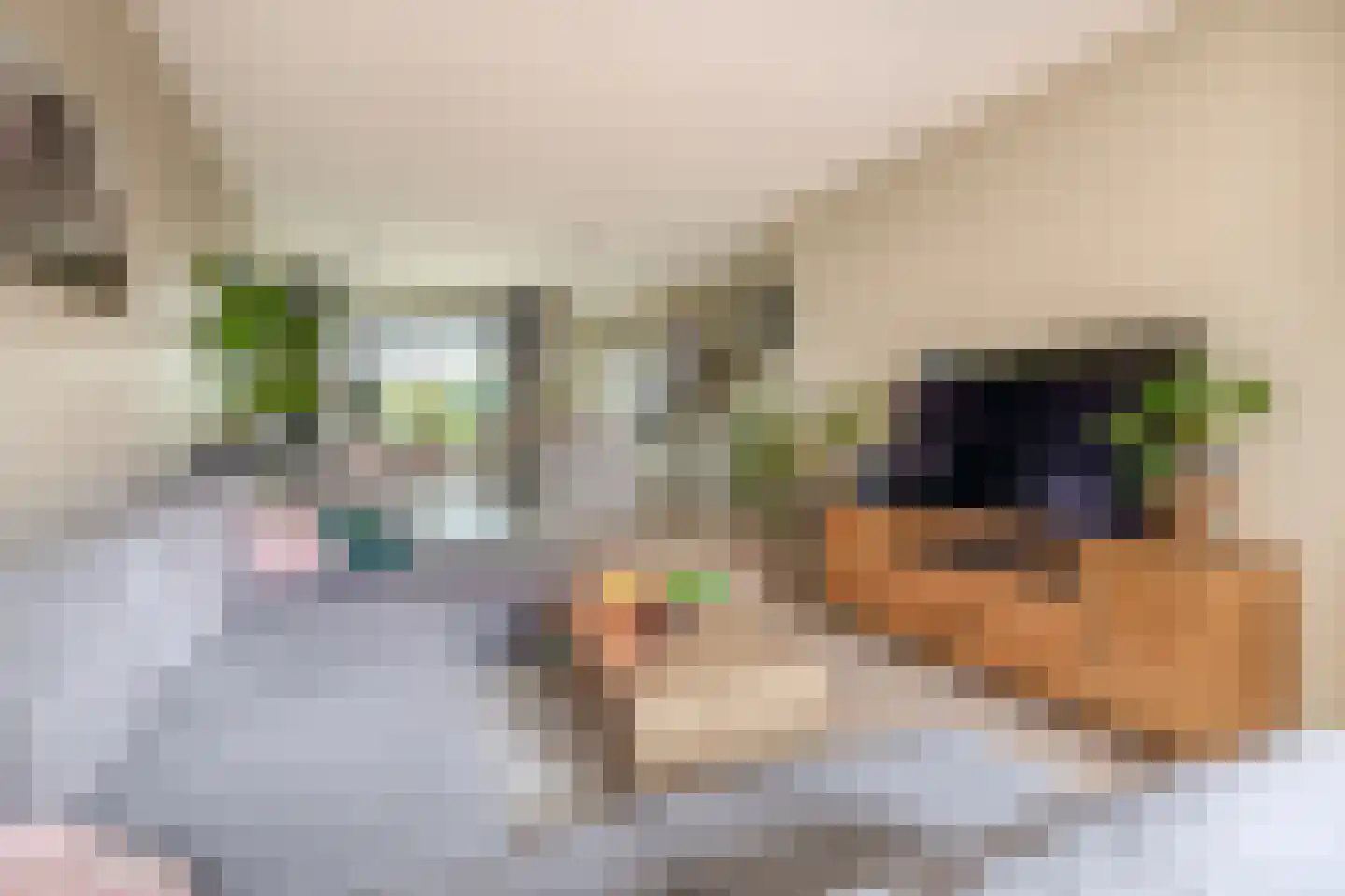 1e Pijnackerstraat 91 B Rotterdam thumbnail 7