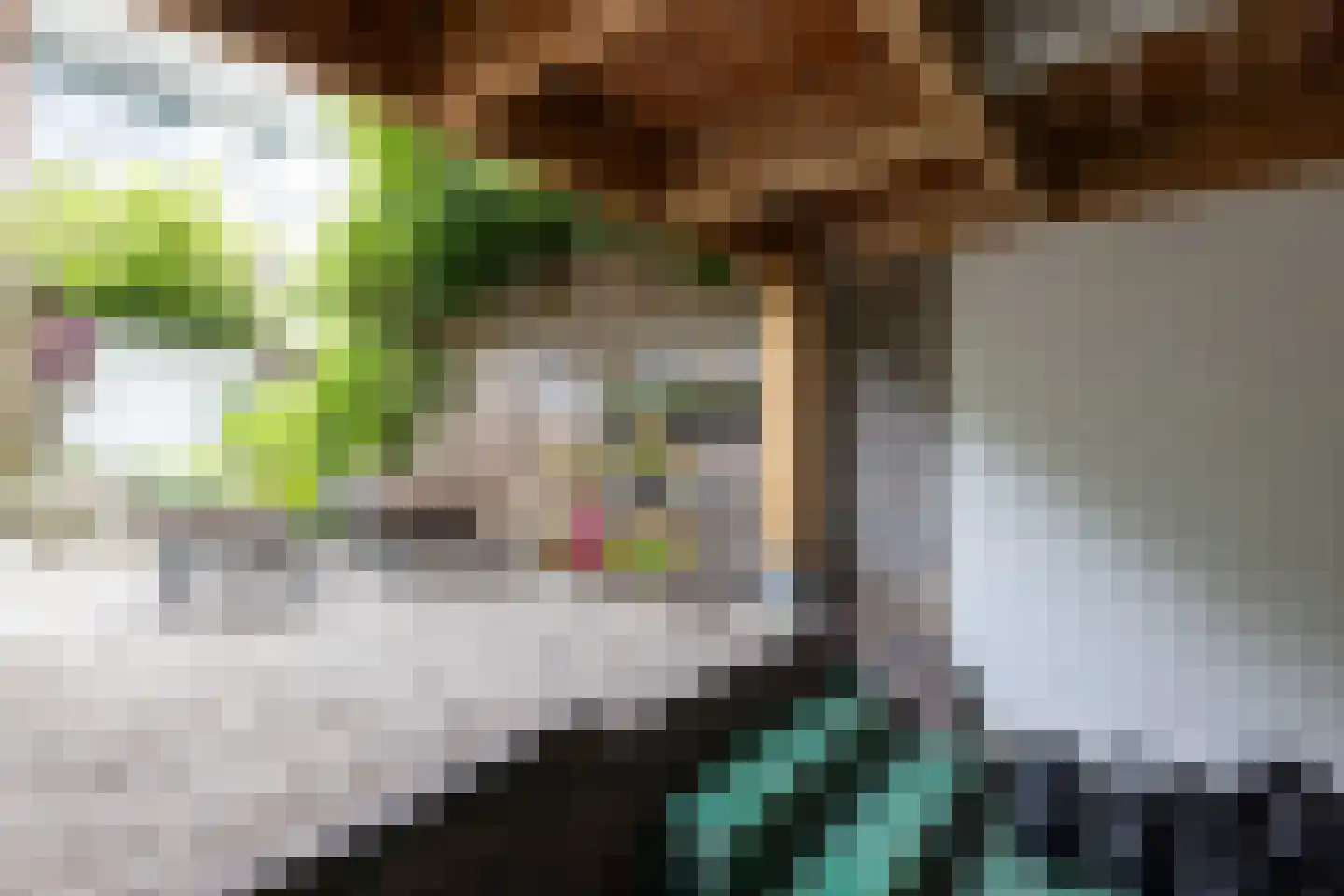 1e Pijnackerstraat 95 A Rotterdam thumbnail 28