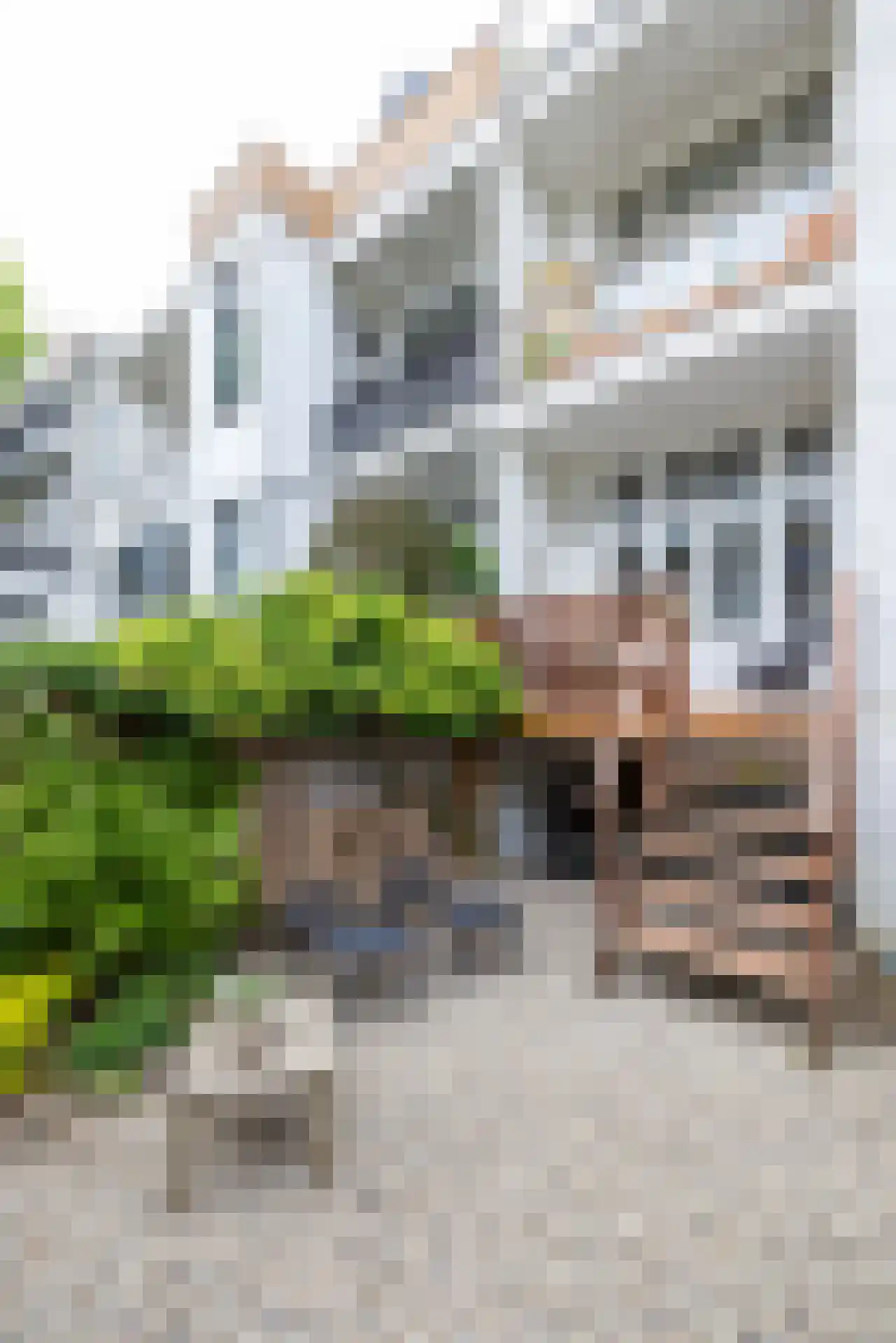 1e Pijnackerstraat 95 A Rotterdam thumbnail 28