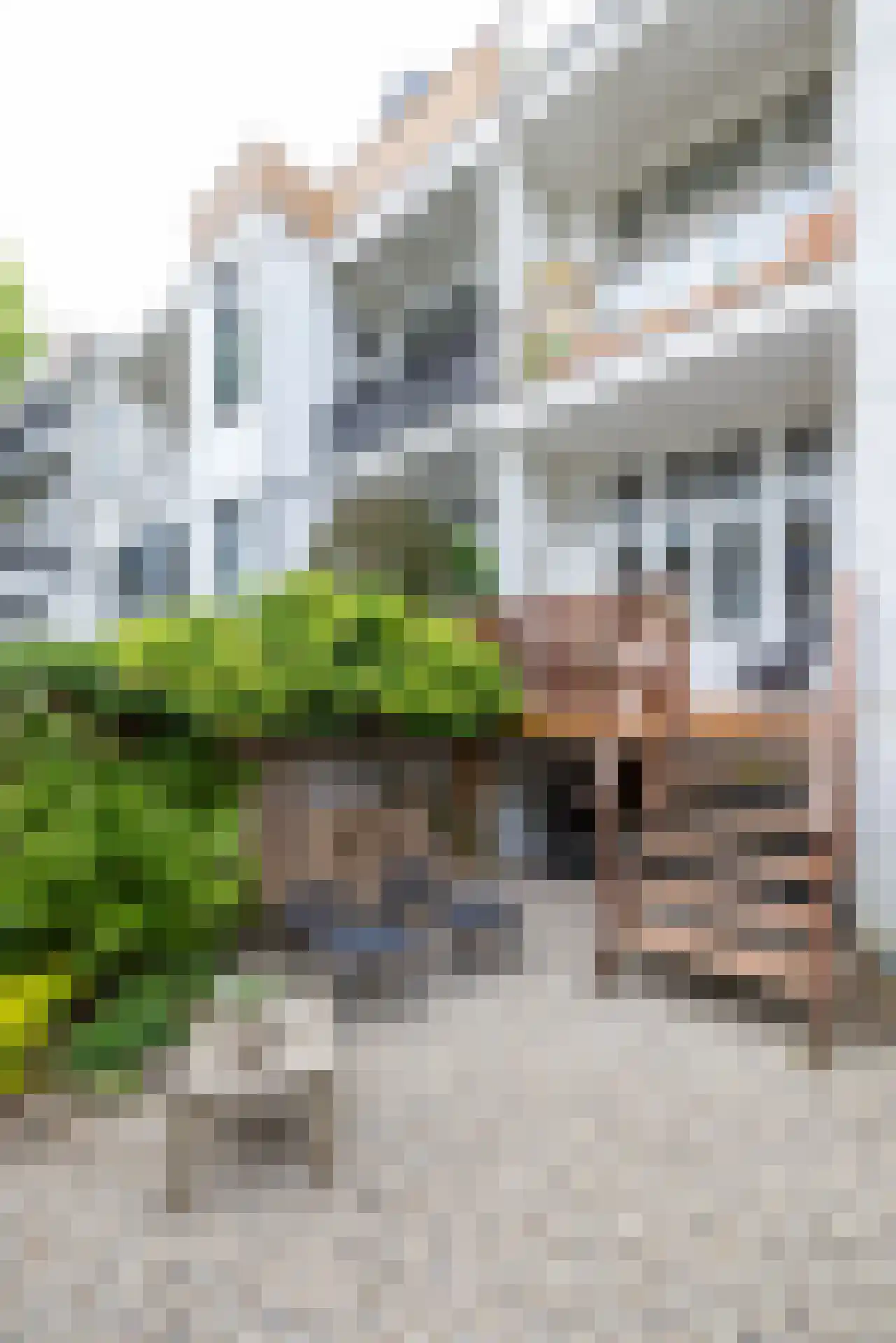 1e Pijnackerstraat 95 A Rotterdam thumbnail 29