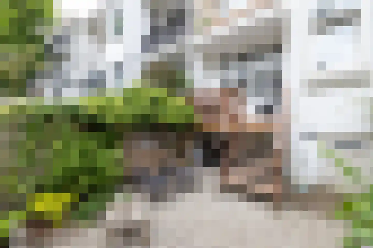 1e Pijnackerstraat 95 A Rotterdam thumbnail 5