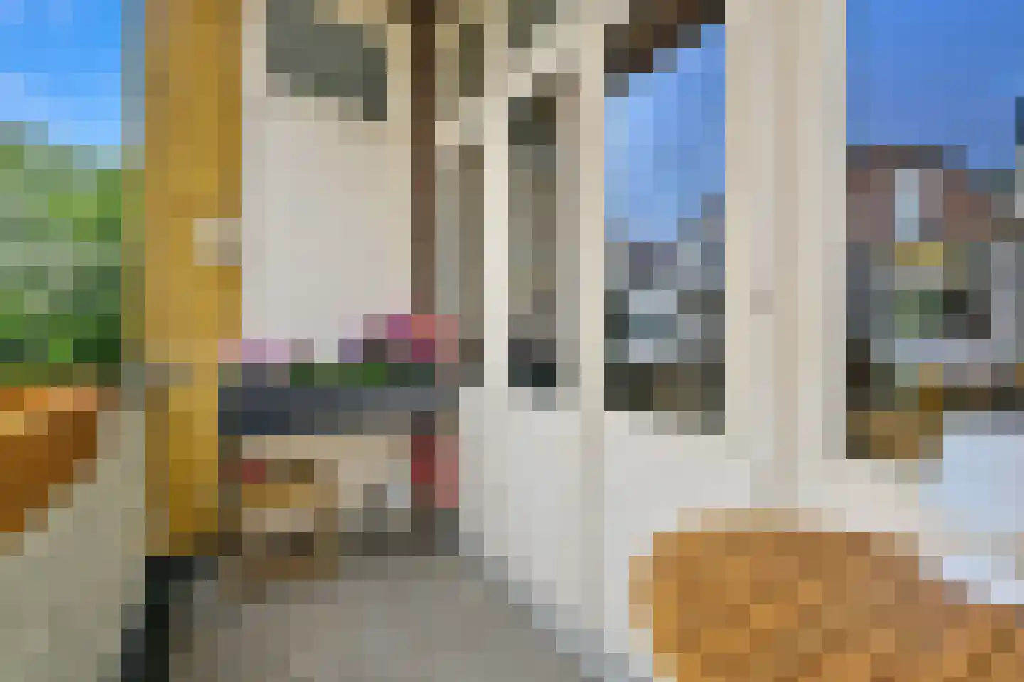 1e Pijnackerstraat 99 A Rotterdam thumbnail 19