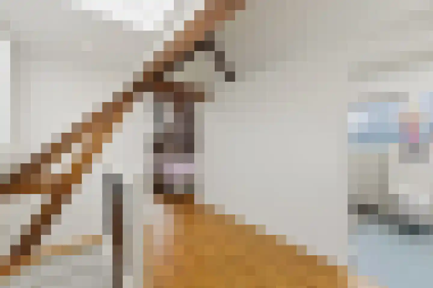1e Pijnackerstraat 99 A Rotterdam thumbnail 26