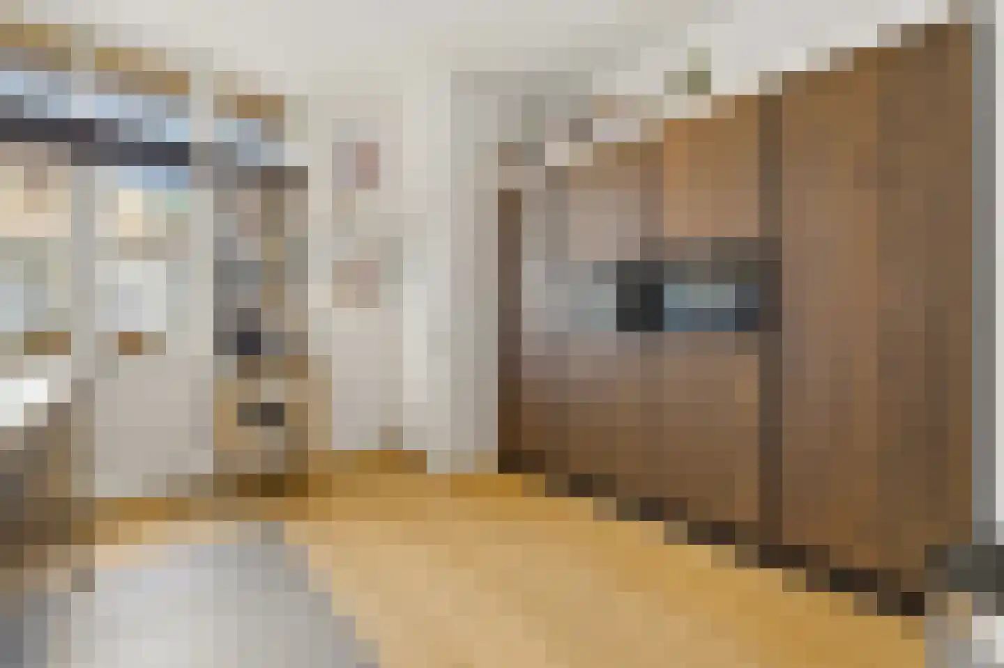1e Pijnackerstraat 99 C Rotterdam thumbnail 18