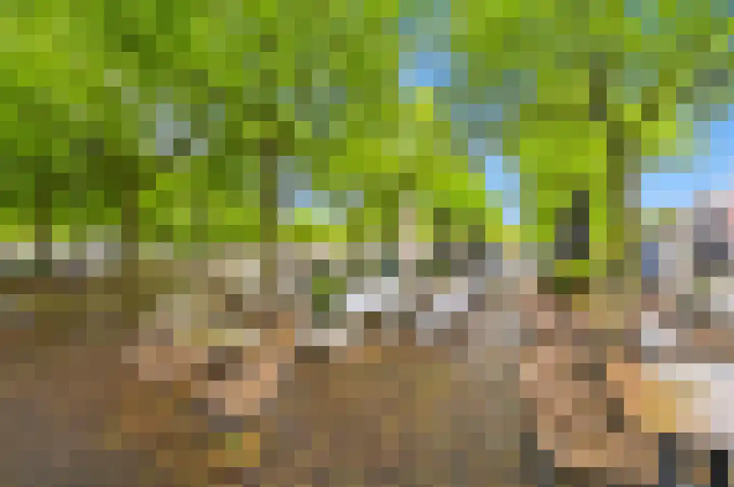 1e Pijnackerstraat 99 C Rotterdam thumbnail 42