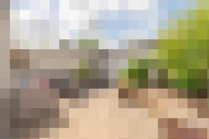 1e Poellaan 28 Lisse thumbnail 26