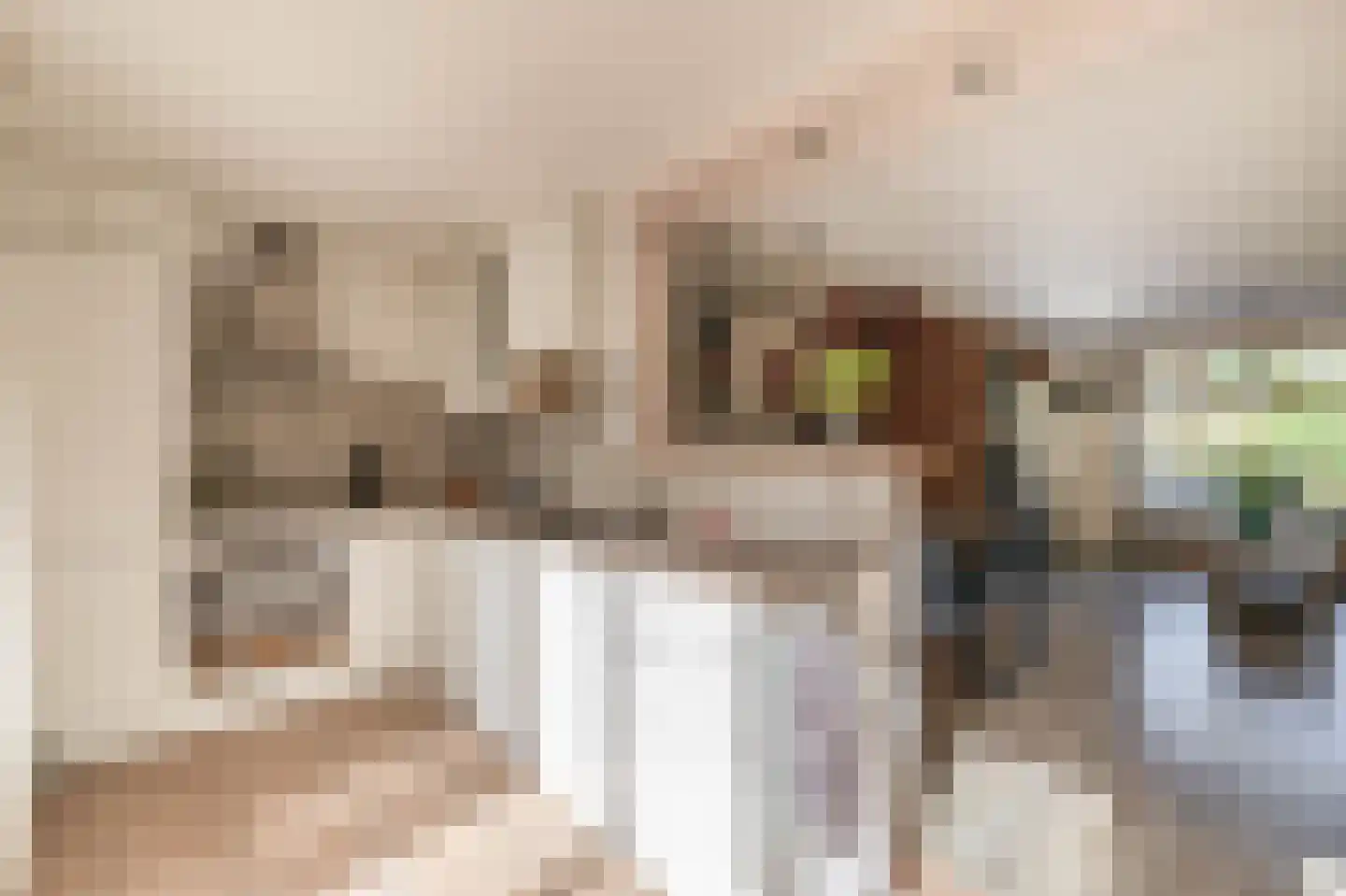 1e Poellaan 52 Lisse thumbnail 12