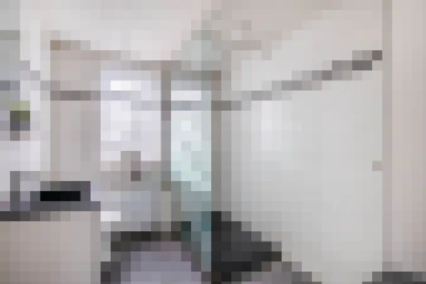 1e Poellaan 52 Lisse thumbnail 21