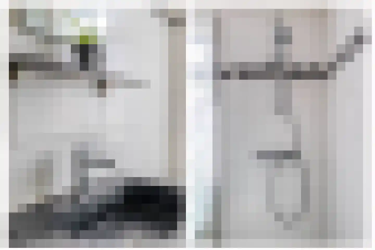 1e Poellaan 52 Lisse thumbnail 22